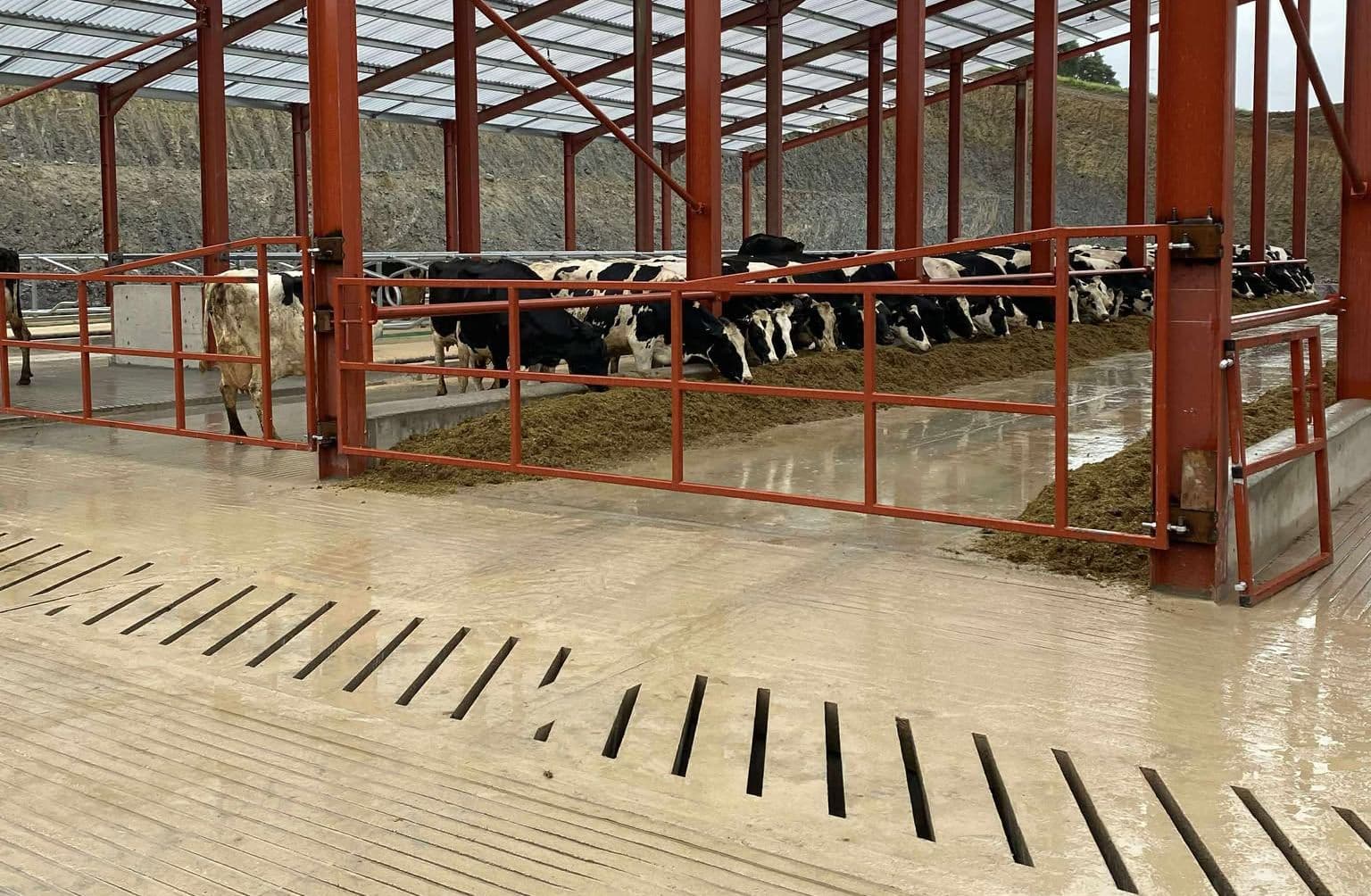 Experimental - Farm Consultants